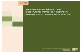 TRASPLANTE RENAL DE DONANTE VIVO EN ESPAÑA · 2020. 6. 22. · 3 TRDV en España – Situación Actual y Hoja de Ruta – CONSULTA PÚBLICA 96 I. INTRODUCCIÓN 97 El trasplante renal