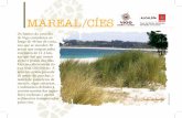 Mareal/Cíes - Concello de Vigo. Web oficial da cidade de Vigo · perexil de mar (Crithmum maritimum) e a herba de namorar (armeria pubi-gera); e arriba, a macela mariña (Matricaria