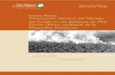 Informe Técnico Descripción General del Manejo del Fuego ... fire... · Fuego en las Sabanas de Pino Caribe (Pinus caribaea) de la Mosquitia, Honduras. GFI informe técnico 2006-1a.