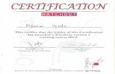 001 Certificates - Plug and Pixel · CERTIFICADO DE FINALIZACIÓN DE CURSO Básicos sobre la Producción Técnica de Conciertos y Festivales Este diploma certi˜ca que: ALFONSO OJEDA