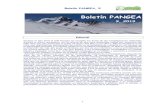 Boletin Pangea 2019 - albergueweb1.uva.esalbergueweb1.uva.es/gir_pangea/wp-content/uploads/2020/05/Boleti… · Boletín PANGEA, 9 1 Boletín PANGEA Editorial Durante el año 2019