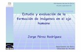 Estudio y evaluación de la formación de imágenes en el ojo ...PresentaciónRNO… · formación de imágenes en el ojo humano Jorge Pérez Rodríguez Departamento de Óptica Universidad