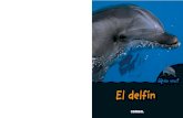 El delfín - casalsusa.com · Los bólidos del océano ¶E §¶¿TÚ QUÉ CREES? Nadando a toda velocidad, ¿cómo consigue el delfín no chocar con los peces? Respuesta 1: Los ve