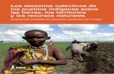 Los derechos colectivos de los pueblos indígenas sobre las ...€¦ · indígenas a participar activamente en la aplicación de los ODS, incluidos su seguimiento y examen a nivel