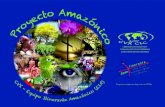 CHRISTIAN LIFE COMMUNITY COMMUNAUTÉ DE VIE …cvx-uruguay.org/wp-content/uploads/2013/03/folleto_cvx_amazonia2.… · Proyecto Amazónico - CVX - Equipo Itinerante Amazónico (EIA)-