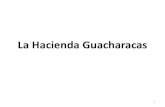 La Hacienda Guacharacas · 2012. 5. 31. · CARACOL RADIO, 1º de marzo de 2010 ... Escrituras de la venta de la Hacienda La Manada 9. Escrituras de la venta de la Hacienda La Manada