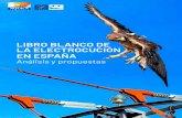 LIBRO BLANCO DE LA ELECTROCUCIÓN EN ESPAÑA · 2020. 9. 30. · 2 LIBRO BLANCO DE LA ELECTROCUCIÓN EN ESPAÑA . Análisis y propuestas Un águila de Bonelli vuela cerca de un apoyo