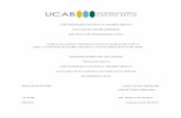 UNIVERSIDAD CATÓLICA ANDRÉS BELLO FACULTAD DE INGENIERÍA ESCUELA DE …biblioteca2.ucab.edu.ve/anexos/biblioteca/marc/texto/AAT... · 2019. 3. 20. · marcado el desarrollo de
