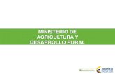 MINISTERIO DE AGRICULTURA Y DESARROLLO RURAL...2015/07/30  · tomate, col, pepino, berenjena y zanahoria, concentran el 72% de la producción global de hortalizas. 30% 13% 13% 9%