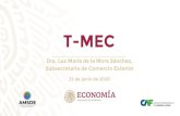 T-MEC - gob.mx...en formato digital a: solicitudes.rta@economia.gob.mx, a más tardar el 1 de julio. Los productores de vehículos, tendrán la posibilidad de modificar y actualizar