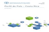 Perfil de País Costa Rica · Costa Rica GEOGRAFÍA, CLIMA Y POBLACIÓN Geografía Costa Rica tiene una extensión de 51 100 km2, ubicada entre los 8° y 11° de latitud norte y los