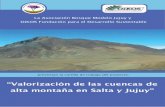 “Valorización de las cuencas de alta montaña en Salta y Jujuy”bmj.org.ar/media/multimedia/ficheros/98.pdf · OiKOS Fundación para el Desarrollo Sustentable ... msnm), luego