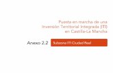 Puesta en marcha de una Inversión Territorial Integrada (ITI) en … · 2017. 6. 20. · Fuente: Afi, Actividades municipales sujetas al impuesto de actividades económicas (IAE),