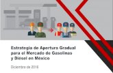 Presentación de PowerPoint - gob.mx€¦ · Inversión: 1.3 –2.3 mil millones ... Tuxpan, Ver Matamoros, Tamps Veracruz, Ver Proyectos en evaluación de la CRE Permisos de almacenamiento