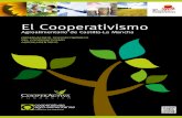 El CooperativismoEn este informe se ha analizado más del 84% del cooperativismo agroalimentario de nuestra región. A través del mismo, a lo largo del año 2011 y el primer semestre