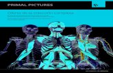 Oferta de la colección completa - Anatomy.tv...un atlas de microanatomía, imágenes de disección e histología, contenido suplementario que incluye envejecimiento, estudios de caso,