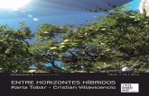 ENTRE HORIZONTES HÍBRIDOS · Karla Tobar y Cristian Villavicencio presentaron en la edición de 2012 un proyecto denominado ENTRE HORIZONTES HÍBRIDOS (Paisaia / Red: Getxo) Tras
