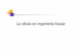 La c élula en ingeniería tisular - UVsepulves.blogs.uv.es/files/2011/06/T13-La-celula-en-ingenieria-tisular1.pdfTRANSFUSIONES TRASPLANTES DE M. ÓSEA Y PIEL CÉLULAS TRONCALES -