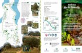 “El Quijote” en el ParqueNatural 1 de las Lagunas de ...agricultura.jccm.es/recrea/archivos_equipamientos/6_9_Folleto Enme… · folleto y de estacas en el campo ciertos aspectos