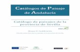 Catálogos de Paisaje de Andalucía · 2018. 4. 23. · transformados del Bajo Guadalquivir). • Ciudad de Sevilla y entorno metropolitano (incluyendo los Alcores, ... Los paisajes