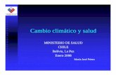 MINISTERIO DE SALUDMINISTERIO DE SALUD CHILE Bolivia …...CONSULTAS POR ENF. DE VIA AEREA INFERIOR ADULTOS DE 65 Y MAS AÑOS CENTROS CENTINELA, R. METROPOLITANA.2003-2007 35 2003