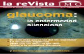 Publicación del Instituto de Microcirugía Ocular Nº 2 ... · cluimos un glosario con el que repasaremos, por orden alfabético, tér-minos específicos del ámbito de la oftalmología.