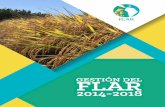 2014-2018 - FLAR · una importante presencia del FLAR y que se ejecutan con aportes adicionales del IRGA en Brasil y ANAR en Nicaragua. En la campaña 2015/2016 comenzamos a trabajar