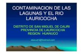 CONTAMINACION DE LAS LAGUNAS Y EL RIO LAURICOCHA...formacion de la laguna de niÑococha, santa ana y todo una concatenacion de lagunas el la cuen ... la salud huamana, en el marco
