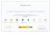 Juan Guillermo Caro Solano - juancaro.comrecibe este certificado por haber finalizado con éxito el examen de certificación de Comercio electrónico (40 h) Ilevado a cabo Tipos de
