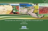 Compendio de información geográ ca municip al 2010€¦ · la tierra Ag rícola Pecuario Para la agric ultura mecanizada continua (97.0 %) No apta para la agricultura (3.0 %) Para