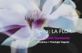 Tema: LA FLOR · abrirse la flor, como en la amapola. •Es deciduo, cuando acompaña a la flor y luego se marchita para caer junto con los pétalos una vez efectuada la fecundación.