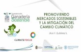 Jhon F. Gutiérrez S. · GANSO es una organización colombiana apoyada por Climate Focus y el Centro Internacional de Agricultura Tropical (CIAT) con sede en la ciudad de Villavicencio,