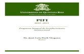 PIFI - UQROOsigc.uqroo.mx/04_documentos_generales/pifi/2010/pifi.pdf · 3.3. Objetivos estratégicos y metas compromiso para el periodo 2010‐2012..... 38 3.4. Estrategias para el