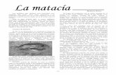 Roberto Pérezlavaqueriavalpalmas.com/ElBancoAzul/N4/Matacia_Pag6_7.pdf · conserva en el museo Ramón y Cajal de Valpalmas. Dos días antes de la matacía se ponía a remojo la bacía