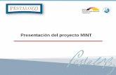Presentación del proyecto MINT - Colegio Pestalozzi€¦ · MINT (Matemática, Informática, Ciencias Naturales, Tecnología) Matemática Estrategias idua l de enseñanza y actividades