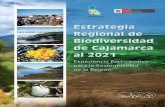 Peru SBSAP - Cajamarca Region (Spanish version) · Archivos del Gobierno Regional de Cajamarca y PDRS-GTZ Diseño de carátula y separadores Giacomotti Comunicación Gráfica S.A.C.