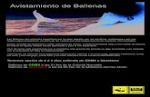 Avistamiento de Ballenas · Las Ballenas son animales magníﬁcos por su gran tamaño, por ser pacíﬁcas, misteriosas y por sus largos viajes migratorios, muchos de los cuales