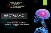 HIPOTÁLAMOs4f1d769cf586f6c7.jimcontent.com/download/version/1448434123/mo… · HIPOTALAMO Es el “comandante en jefe”del Sistema Nervioso Autónomo y del Sistema Neuroendocrino.