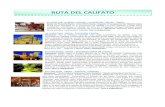 CALIFATO - rctfe.com · RUTA DEL CALIFATO ... 04 JUNIO (LUN) ÚBEDA – ANDÚJAR ‐ CÓRDOBA ... El hotel Rosaleda de Don Pedro de Úbeda está considerado un hotel con encanto,