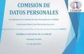 COMISIÓN DE DATOS PERSONALESinicio.ifai.org.mx/Comaip/04_Informe_comision_datos_personales_X… · Ley General de Protección de Datos Personales en posesión de Entes Públicos.