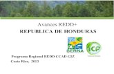 REPUBLICA DE HONDURAS - LSE Home · Carbono y Tenencia de la Tierra para la Implementación de REDD+ y otros mecanismos de Compensación en Honduras Objetivo : Formulación de un