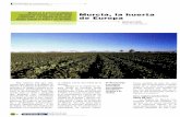 Murcia, la huerta de Europa€¦ · Murcia "La Huerta de Europa". En principio, el simple volumen de su producción hortofrutícola justifi-caría la denominación. Pero hay ... del