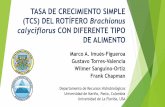 TASA DE CRECIMIENTO SIMPLE (TCS) DEL ROTÍFERO …acuacultura.espe.edu.ec/wp-content/uploads/2016/05/10-TCS-del-Rotífe… · TCS total: 37,81±22,36% Baja variabilidad: •Control