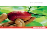 La fruta al alcance de la mano: el aislamiento es la ...download.rockwool.es/media/94980/informe_medioambiental_2008.pdf · 20 Mejora de nuestro balance de carbono positivo ... Mejor