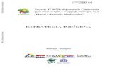 ESTRATEGIA INDÍGENA€¦ · de la Biodiversidad y el Manejo Sostenible de la Tierra en el Bosque Atlántico del Paraguay ... acción para el trabajo especifico con los pueblos indígenas