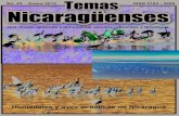 No. 45 - Enero 2012 ISSN 2164-4268 REVISTA DE TEMAASS ...mentos para la Historia de Nicaragua (Colección Somoza) recopilados por don Andrés Vega Bola-ños; la Revista Universitaria