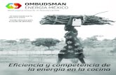 ENERGÍA MÉXICO - oem.org.mx · produce en la vida de los seres humanos ha generado una consciencia a nivel mundial sobre el uso de la energía. La tendencia hacia el aprovechamiento
