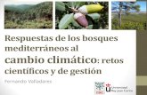 New Respuestas de los bosques mediterráneos al cambio climático: …medacc-life.eu/sites/medacc-life.eu/files/event_files/3... · 2018. 5. 3. · MS 1706 m E 1969 2001 1400 m 1200