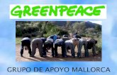 GRUPO DE APOYO MALLORCA - Greenpeace Españaarchivo-es.greenpeace.org/espana/Global/espana/report/other/presen… · Observadores de transgénicos vigilando el etiquetado de los productos.