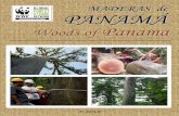 MMAADDEERRAASS ddee PPAANNAAMMÁÁd2ouvy59p0dg6k.cloudfront.net/downloads/catalogo_maderas...Catálogo de especies forestales de Panamá / Catalogue of forestry species of Panama 1.